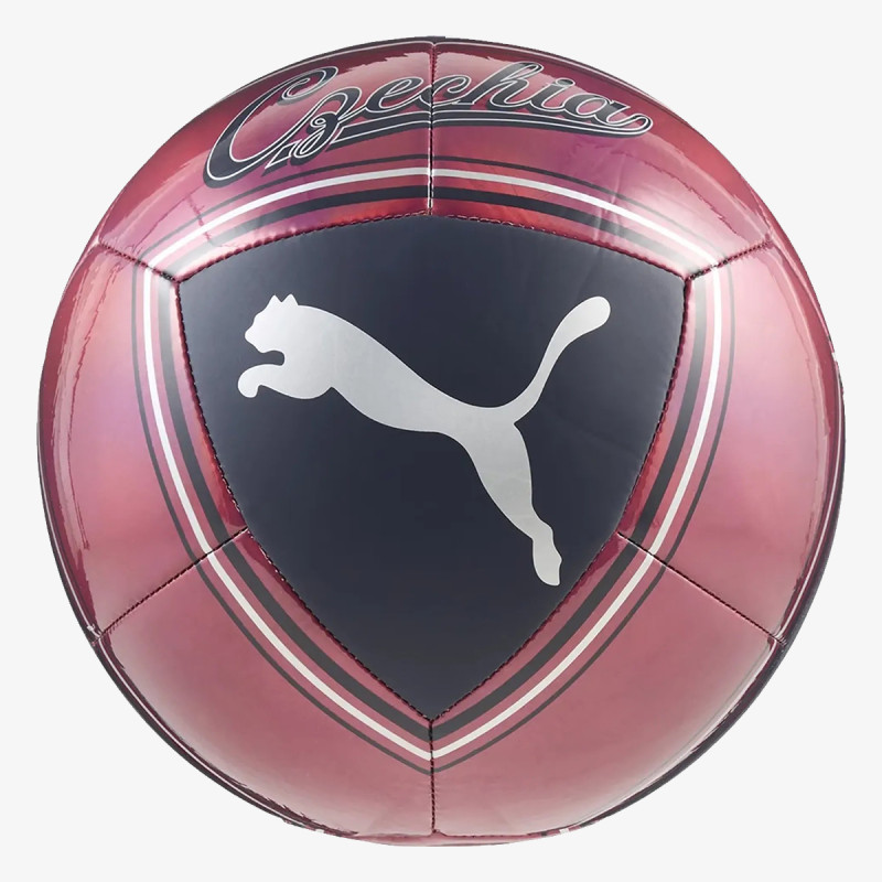 Puma Team Goal 