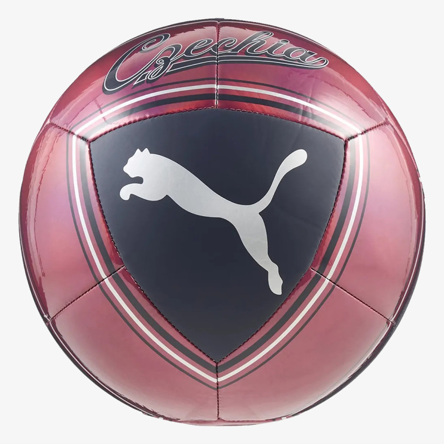 Puma Team Goal 