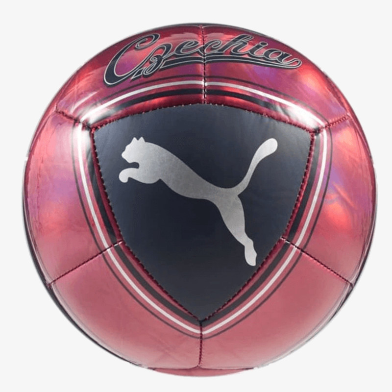 Puma Team Goal 