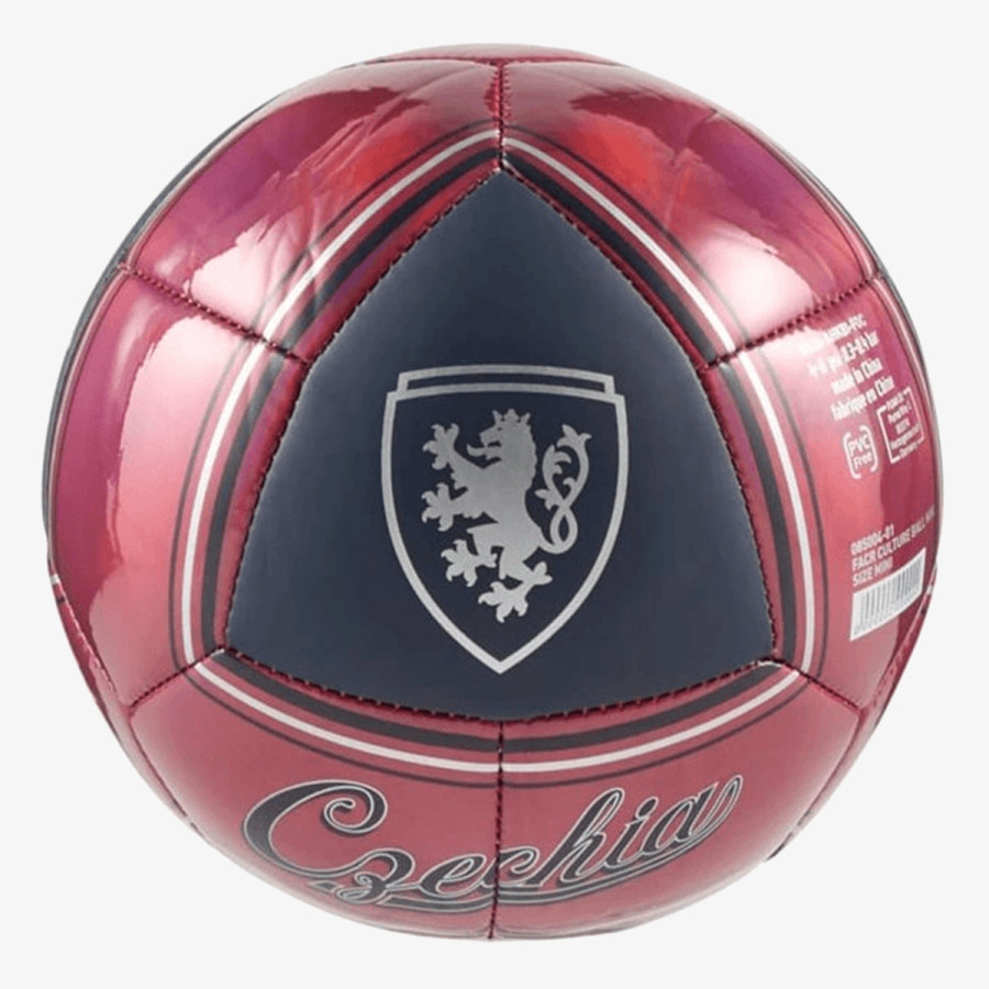 Puma Team Goal 