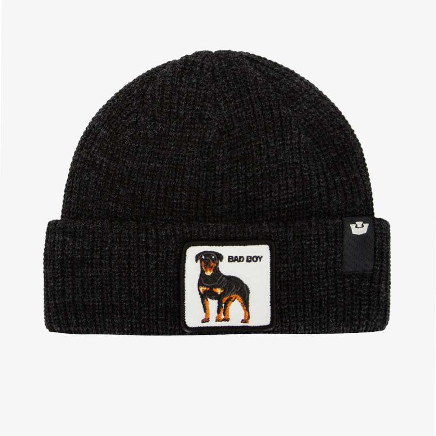 Goorin Bros The Bad Boy Dog Beanie 