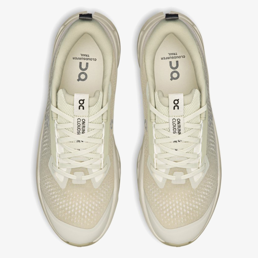 On Cloudsurfer Trail 2 