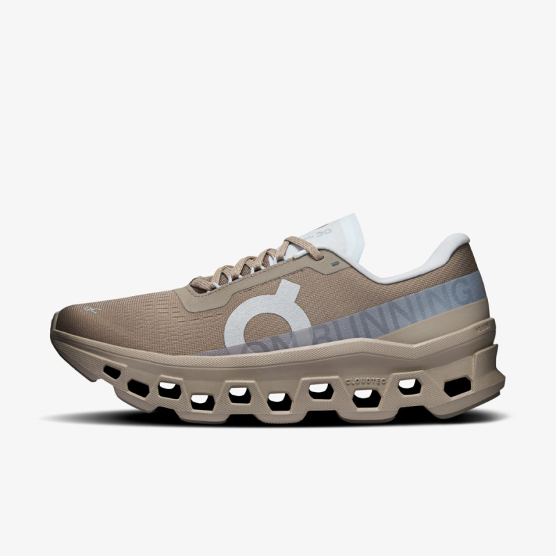 On Cloudmonster 1 