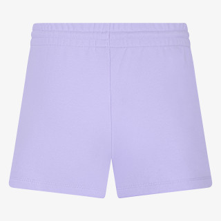 NIKE JDG JORDAN ESSENTIALS SHORTS 