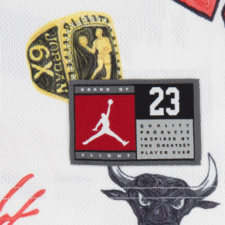 Nike Jordan 23 