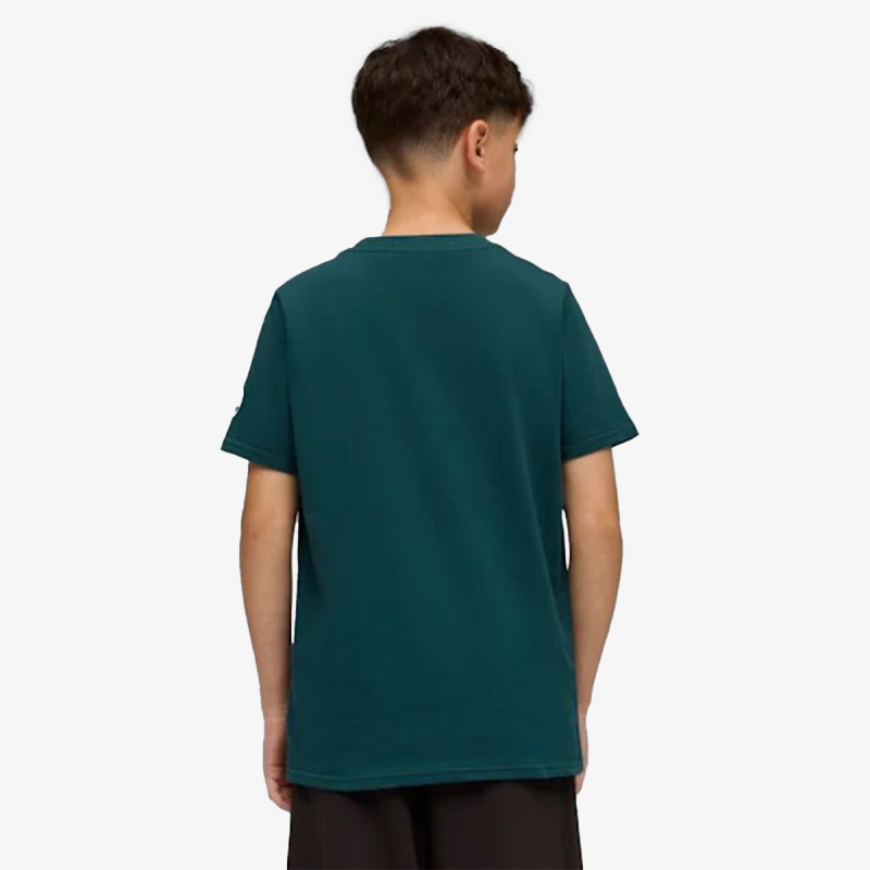 Puma Manchester City 