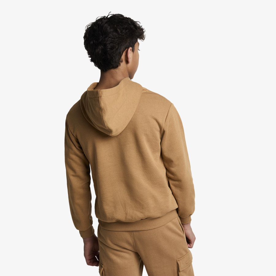 Converse Dissected Chuck 