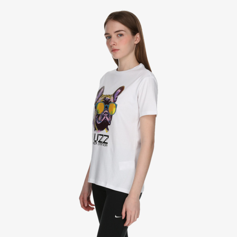 Buzz Color Frenchie 