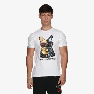 Buzz Frenchie 