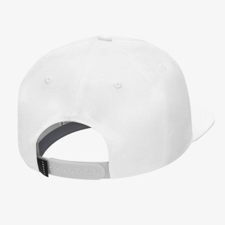 Nike Jordan Pro Ingot. 