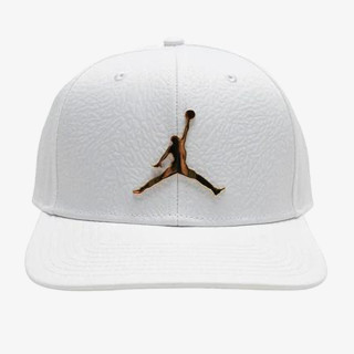 Nike Jordan Pro Ingot. 