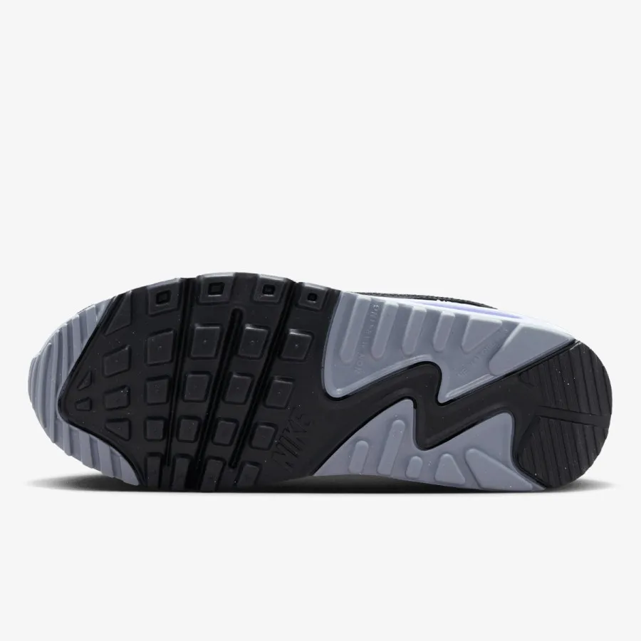 NIKE NIKE AIR MAX 90 LTR GS 