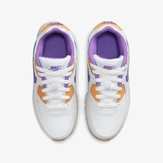 Nike Air Max 90 LTR 