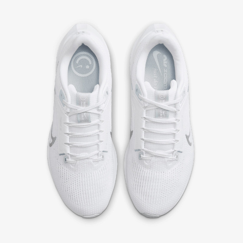Nike Pegasus 39 Shield 