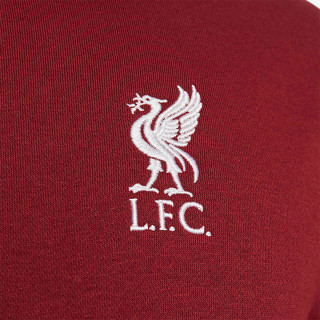 NIKE LFC MNSW CLUB HOODIEPO BB 