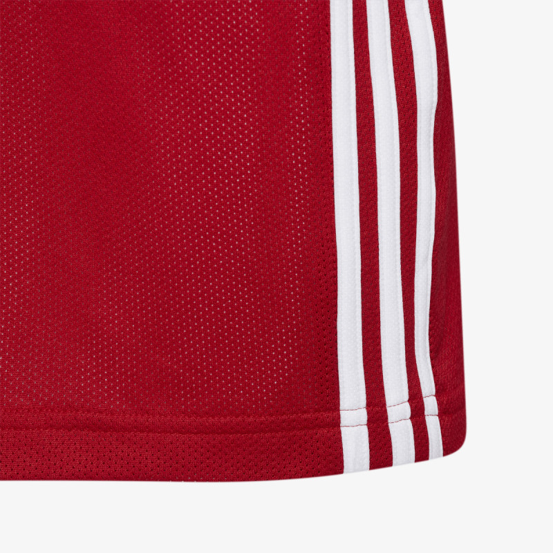 adidas 3-STRIPES 