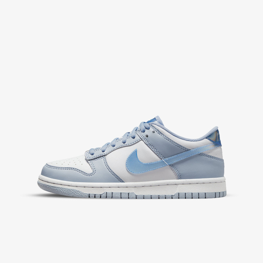 Nike NIKE DUNK LOW NN GS KWE 