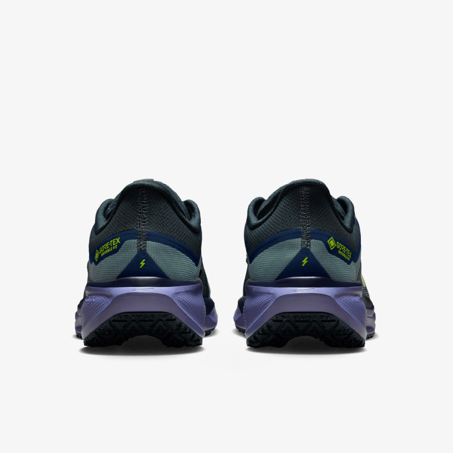 Nike AIR ZM PEGASUS 41 GTX 