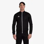 ADIDAS ENT22 TK JKT 