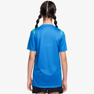 Nike CBF Academy Pro 