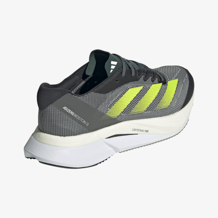 adidas Adizero Boston 12 