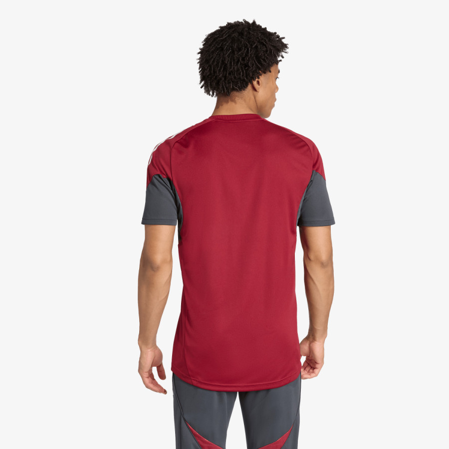 adidas AFC EU TR JSY 