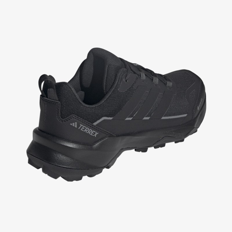 adidas TERREX SKYCHASER AX5 GTX 