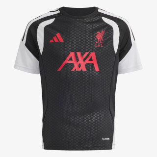 adidas LFC TR JSYY 