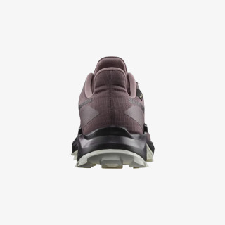 SALOMON ALPHACROSS 5 GTX W 