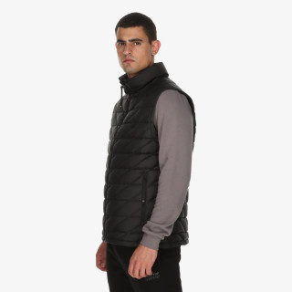 Mont Vest 