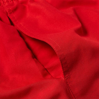 Nike 5  Volley Short 